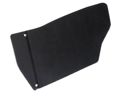 Ford G1FZ-8311-A Deflector - Air, Driver Side