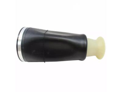 Ford F8VZ-5560-AA Spring