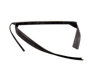Ford DM5Z-5825767-A Window Channel, Rear Driver Side