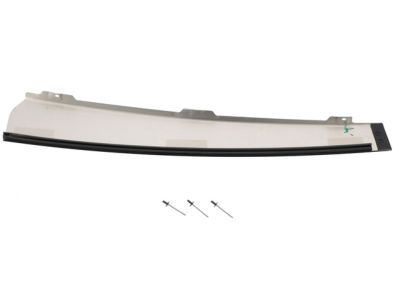 Ford 1L1Z-7820982-AA Upper Molding, Front Passenger Side