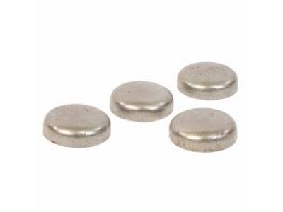 Ford -W528005-S300 Expansion Plug