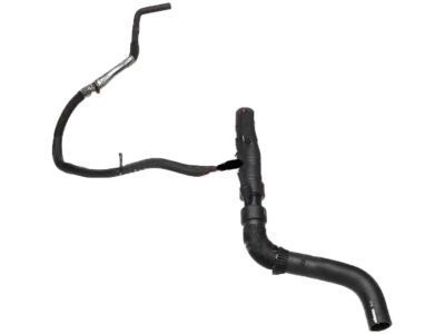 Lincoln CT4Z-8260-B Hose - Radiator