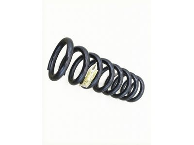 F2UZ-5310-V Ford Spring - Front Product Photo 2 of 4
