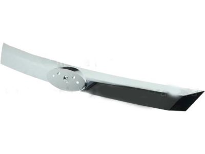 Ford AE5Z-8200-ACP Grille - Radiator