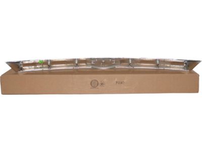 Ford AE5Z-8200-ACP Grille - Radiator