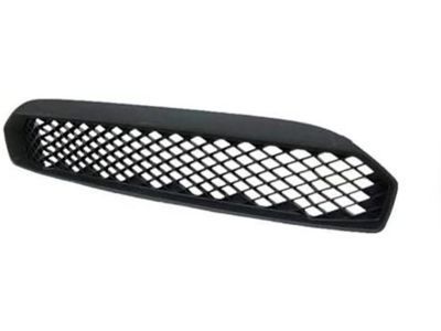 Ford 9S4Z-17K945-AA Lower Grille, Front