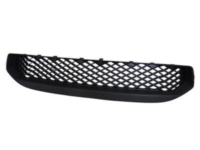 Ford 9S4Z-17K945-AA Lower Grille, Front