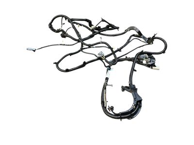 Ford HC3Z-14405-QR Wiring Assembly - Rear Lamps HC3Z-14405-QR Ford Wiring Assembly - Rear Lamps Product Photo 1 of 4