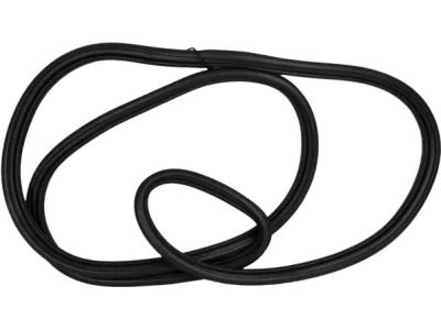 Ford FT4Z-58404A06-B Weatherstrip