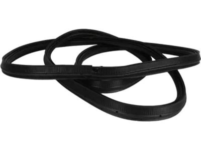 Ford FT4Z-58404A06-B Weatherstrip