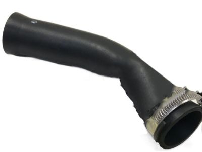 Ford DE8Z-9B233-A Hose Assembly, Lower