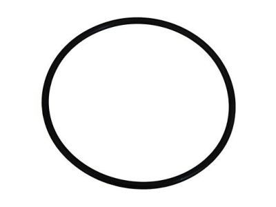 Ford F81Z-1001-AA Axle Shaft O-Ring, Rear