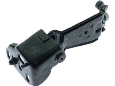 Ford DT1Z-6126800-C Hinge Assembly, Passenger Side