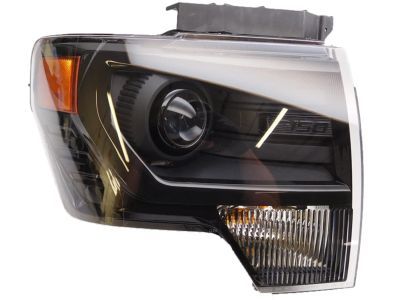 Ford DL3Z-13008-DB Headlamp Assembly, Black, Front Passenger Side