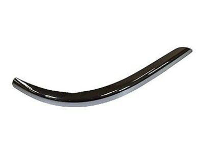 Lincoln 3W4Z-17C830-AB Molding - Bumper Bar