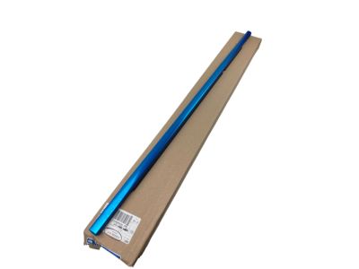 Ford JL1Z-7825596-A Weatherstrip - Door Glass Channel, Passenger Side