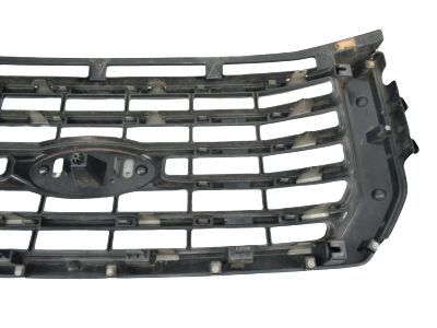 Ford FL3Z-8200-VPTM Grille