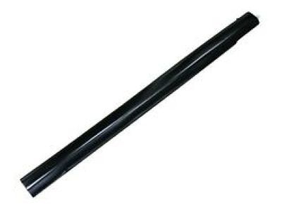 Ford 7L1Z-7825596-AA Weatherstrip - Door Glass Channel