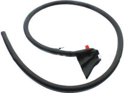 Ford FR3Z-7620709-A Weatherstrip Assembly - Door Opening, Driver Side