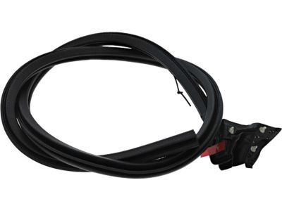 Ford FR3Z-7620709-A Weatherstrip Assembly - Door Opening, Driver Side