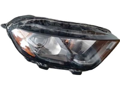 Ford GN1Z-13008-BL Headlamp Assembly, Passenger Side