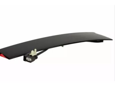 Ford CA5Z-5420555-BA Moulding - Door Outside, Driver Side