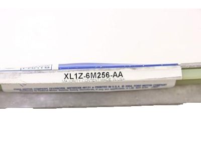 Ford XL1Z-6M256-AA Chain - Timing, Passenger Side