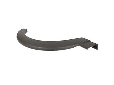 Ford 1L5Z-16038-AAB Moulding                           