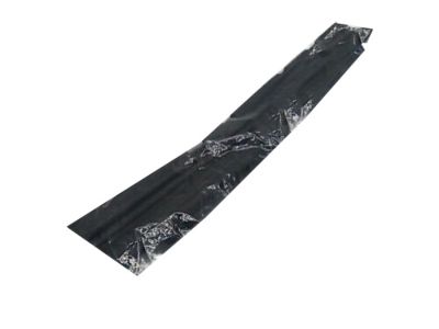 Ford CT4Z-8349-A Lower Shield, Front