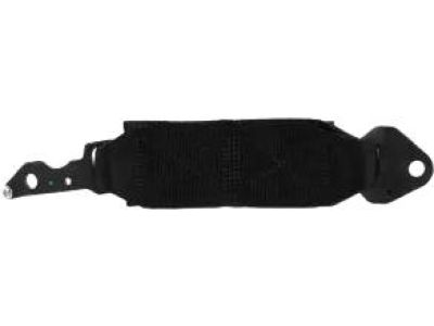 Ford DB5Z-7823552-C Check Assembly - Door, Passenger Side