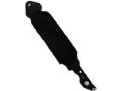 Ford DB5Z-7823552-C Check Assembly - Door, Passenger Side