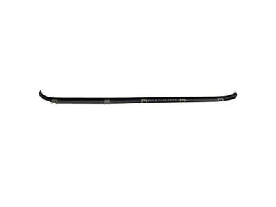Ford F4TZ-3525597-A Belt Weatherstrip, Rear Driver Side
