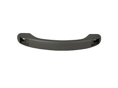 Ford 2C7Z-1031406-AAA Grip Handle, Front