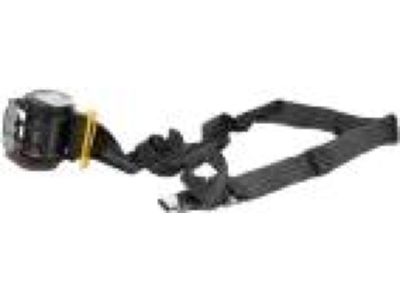 Ford DB5Z-78611B68-CA Seat Belt Assembly, Passenger Side