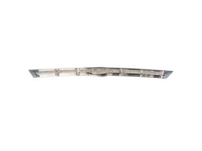 Ford AE5Z-8200-A Center Grille