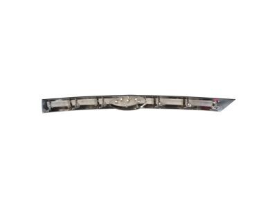 Ford AE5Z-8200-A Center Grille
