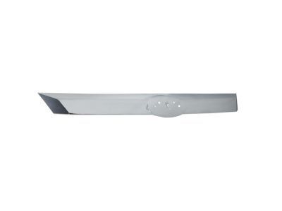 Ford AE5Z-8200-A Center Grille