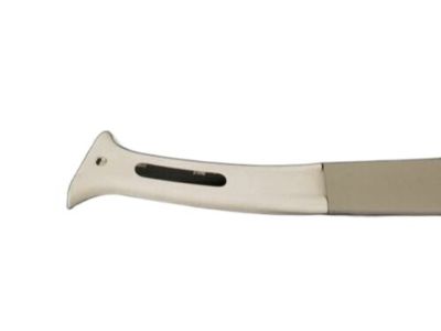Ford 8L8Z-7824357-AD Lower Center Pillar Trim
