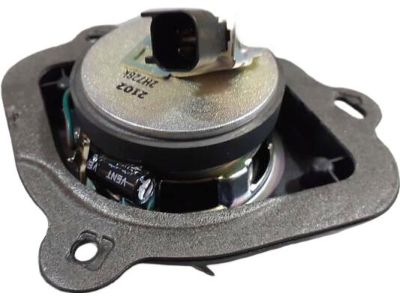 Ford DS7Z-18808-J Speaker Assembly, Center