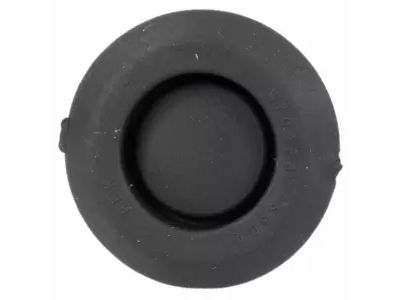Ford -W703638-S300 Plug - Blanking
