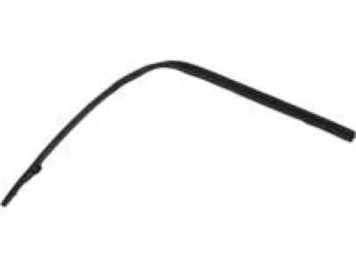 Ford 5L5Z-1351222-A Weatherstrip, Passenger Side