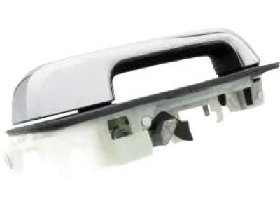 Ford HC3Z-2626605-DAPTM Handle Assembly - Door - Outer, Driver Side
