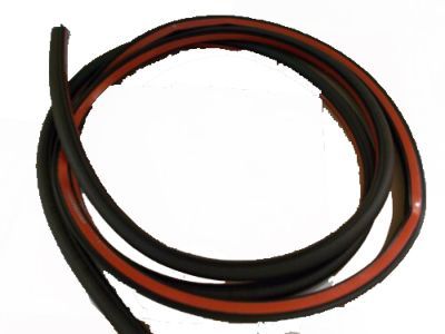 Ford Door Seal - BM5Z-5820708-D