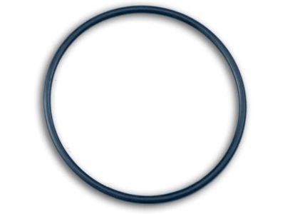 Ford 3C3Z-6840-AA Element O-Ring