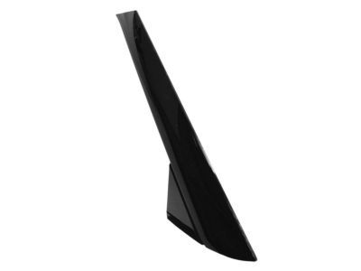 Ford BB5Z-7803144-AA Pillar Molding
