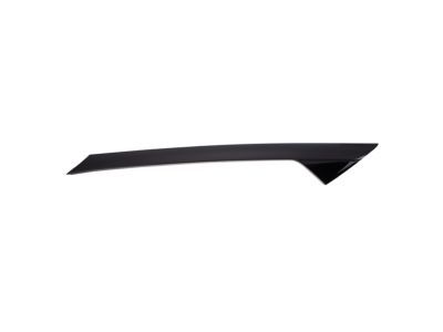 Ford BB5Z-7803144-AA Pillar Molding