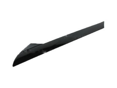 Ford BB5Z-7803144-AA Pillar Molding