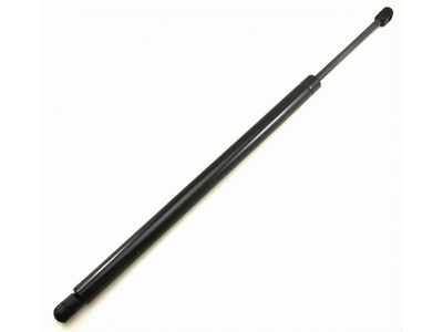 6L1Z-78406A10-AA Ford Lift Assembly - Gas, Passenger Side Product Photo 2 of 4