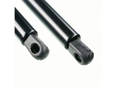 Ford 6L1Z-78406A10-AA Lift Assembly - Gas, Passenger Side 6L1Z-78406A10-AA Ford Lift Assembly - Gas, Passenger Side Product Photo 1 of 4