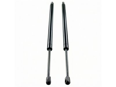 6L1Z-78406A10-AA Ford Lift Assembly - Gas, Passenger Side Product Photo 4 of 4